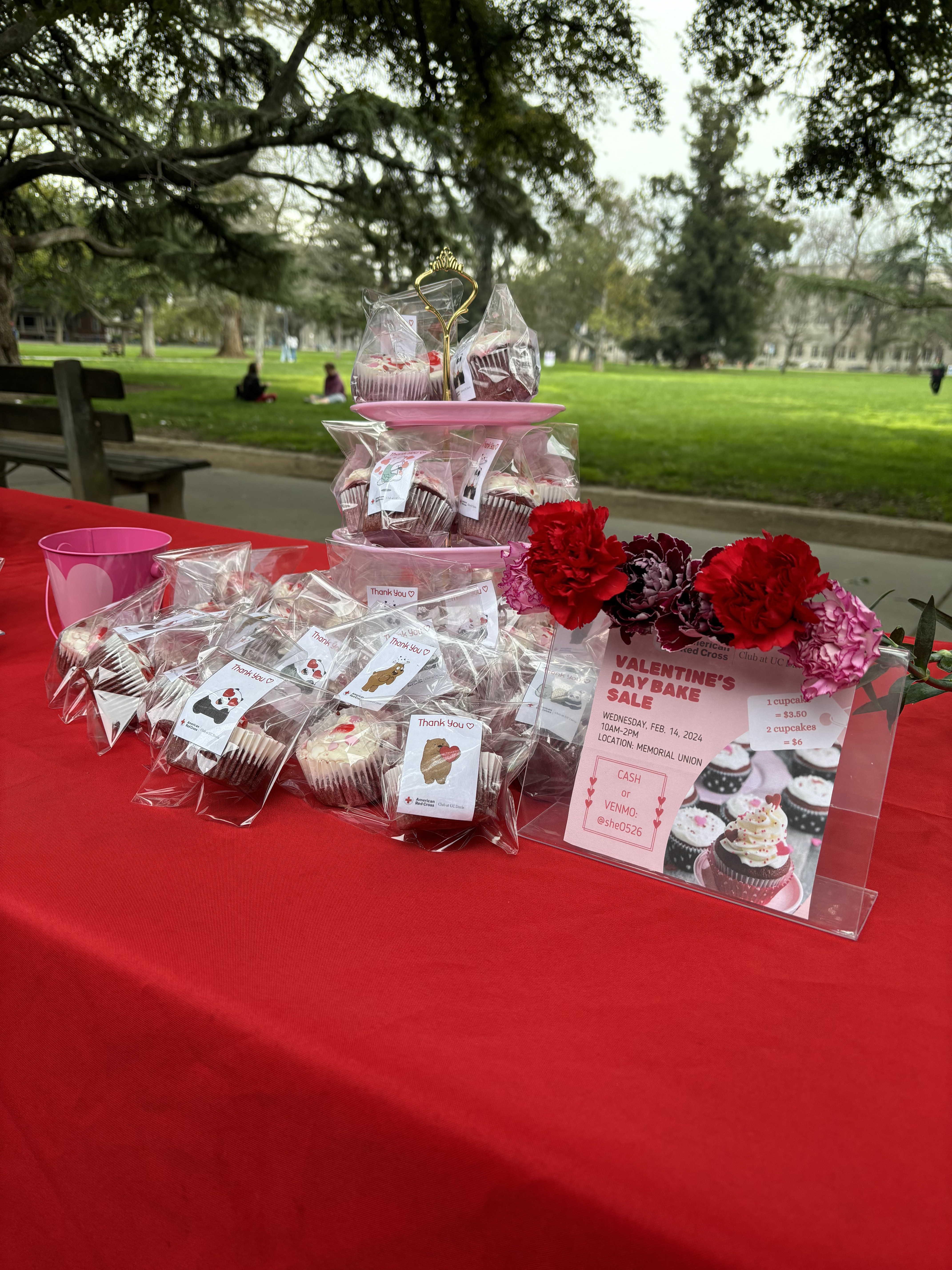 American Red Cross Club at UC Davis Gallery Image