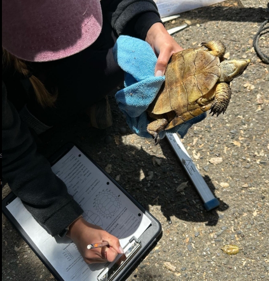 Animal Science Mentorship Program Gallery Image