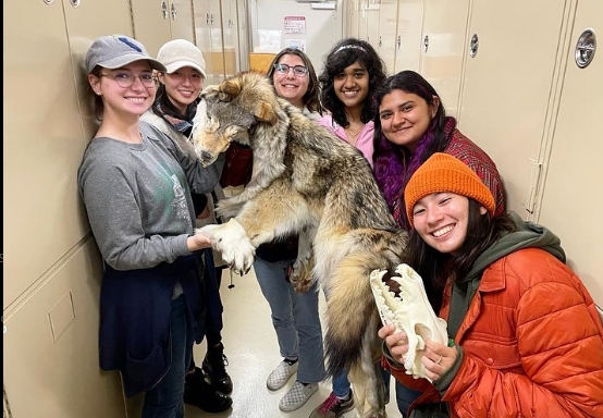 Animal Science Mentorship Program Gallery Image