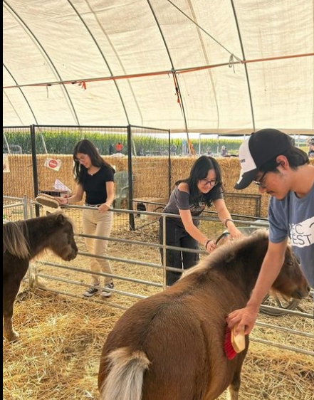 Animal Science Mentorship Program Gallery Image