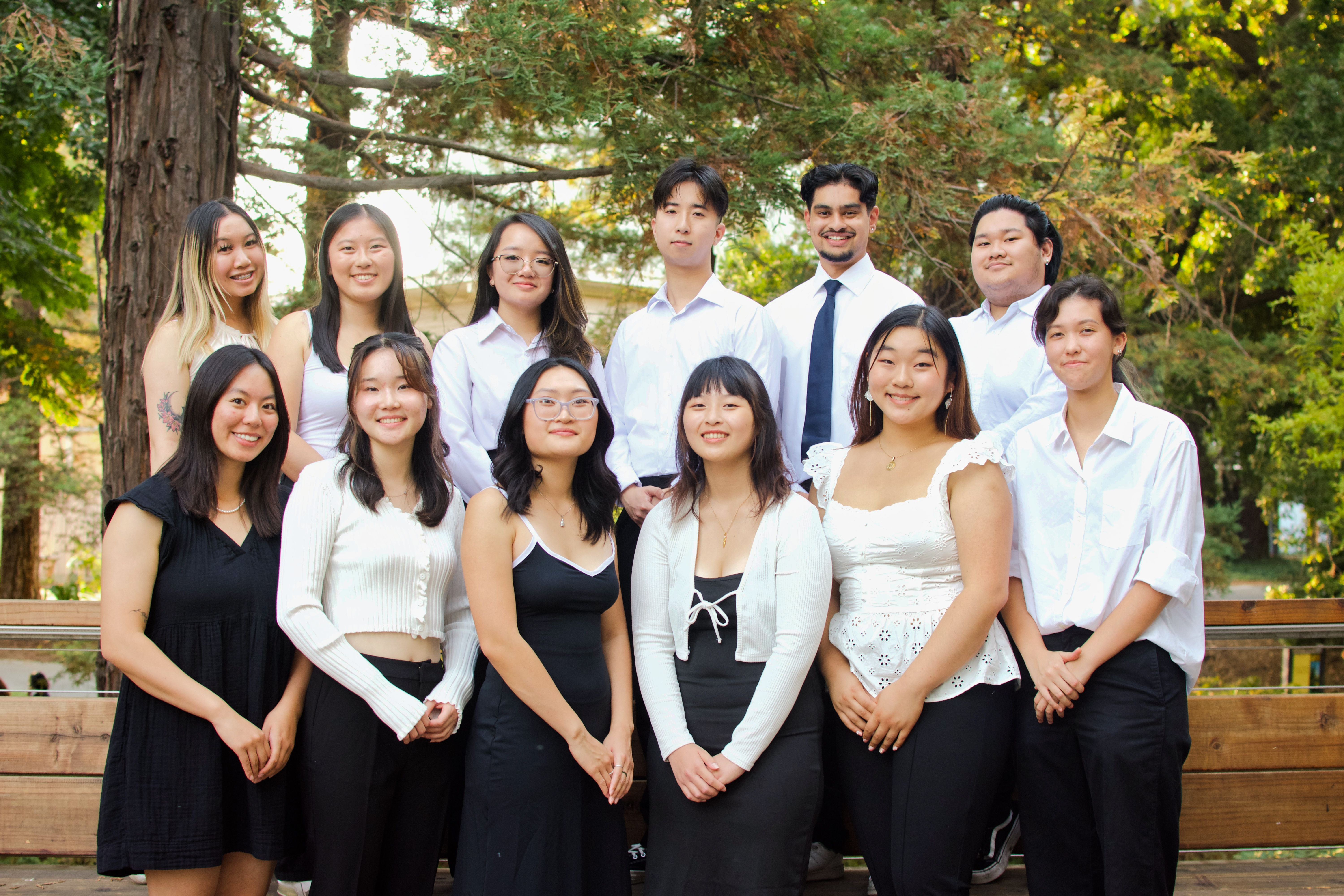 Asian American Association Cover Image