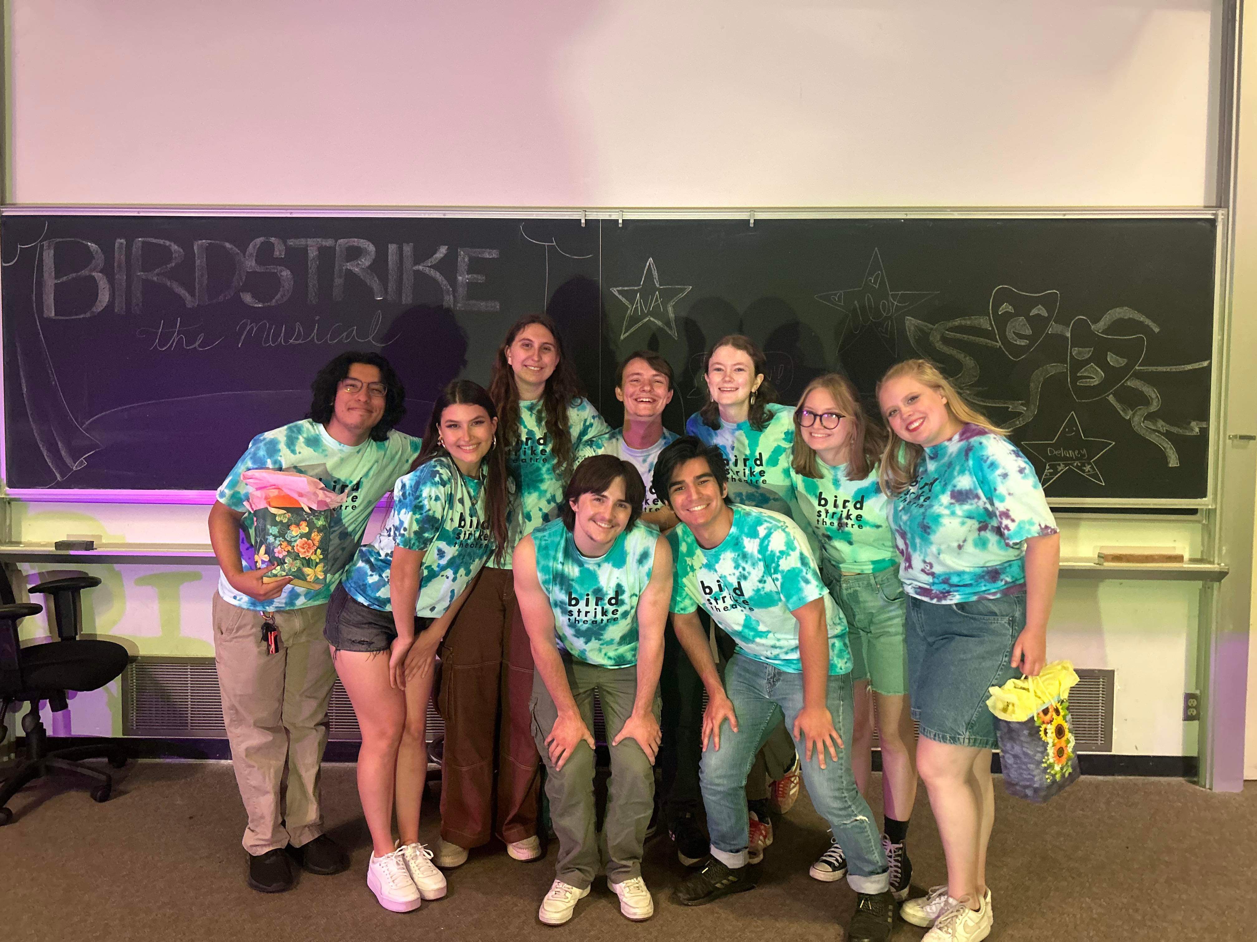 Birdstrike Theatre Cover Image