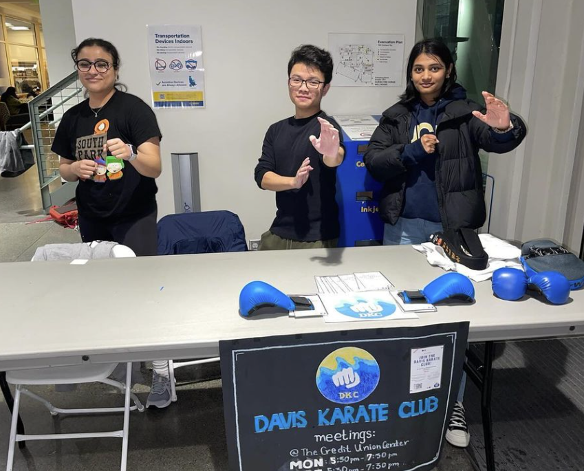 Davis Karate Club Gallery Image