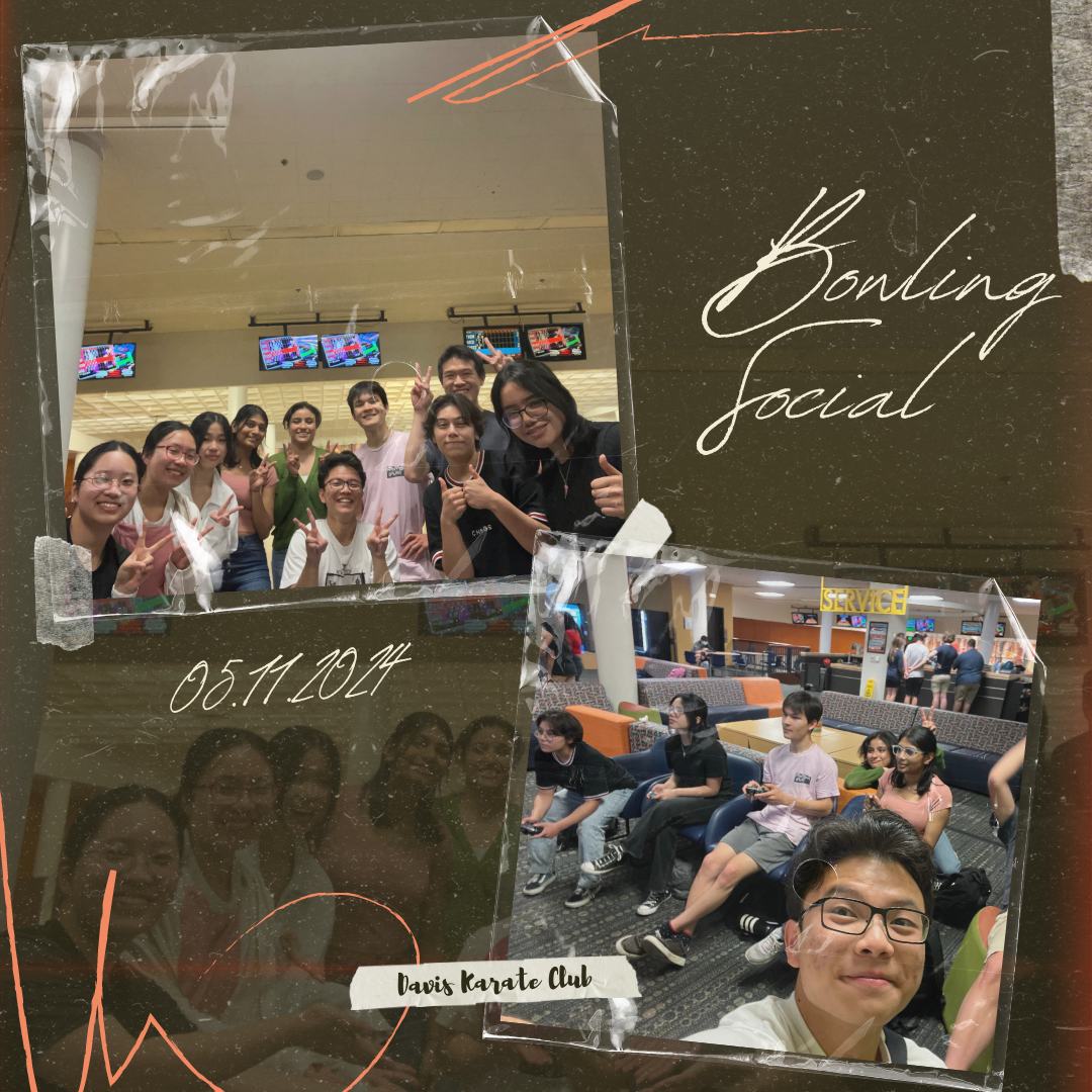 Davis Karate Club Cover Image