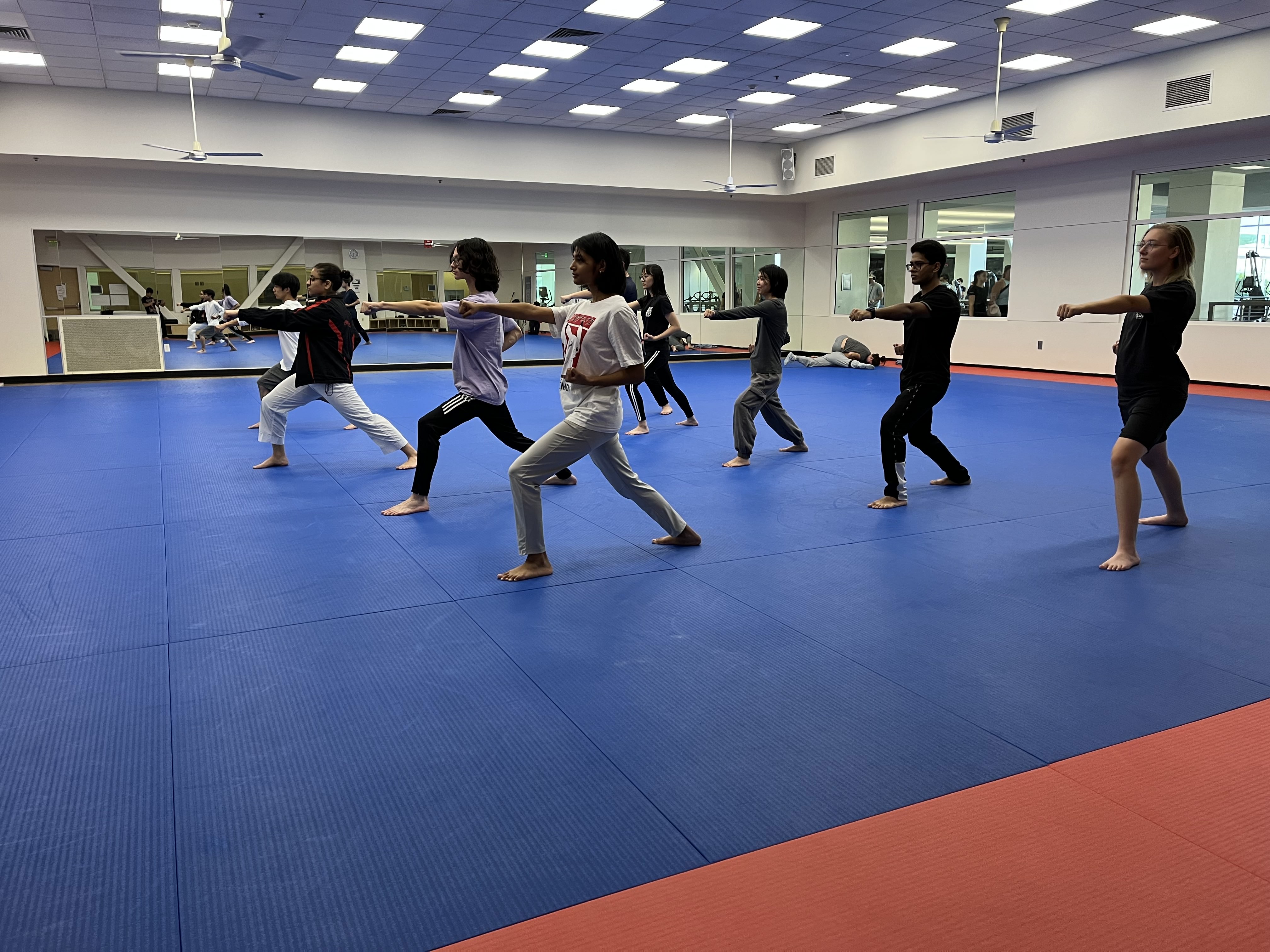 Davis Karate Club Gallery Image