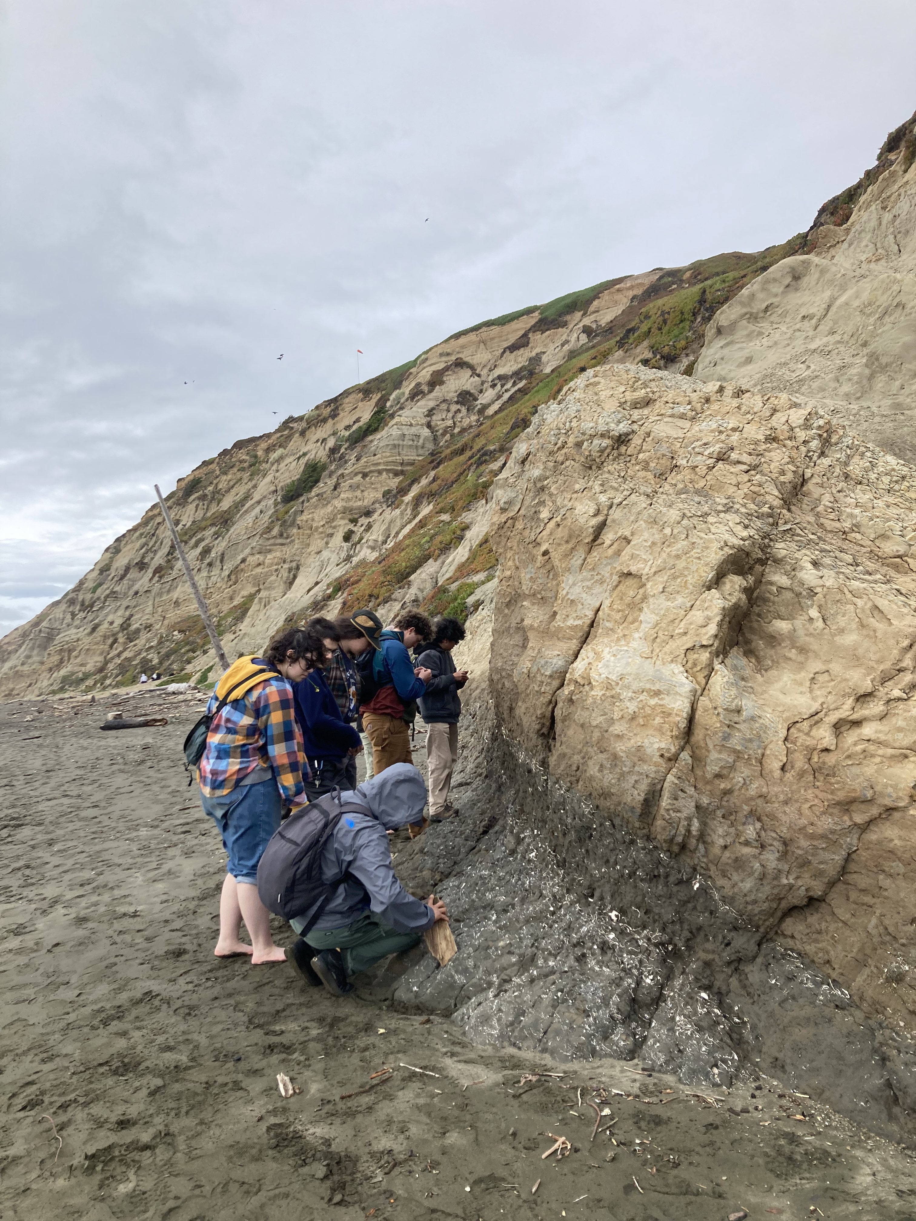 Geology Club at UC Davis Cover Image