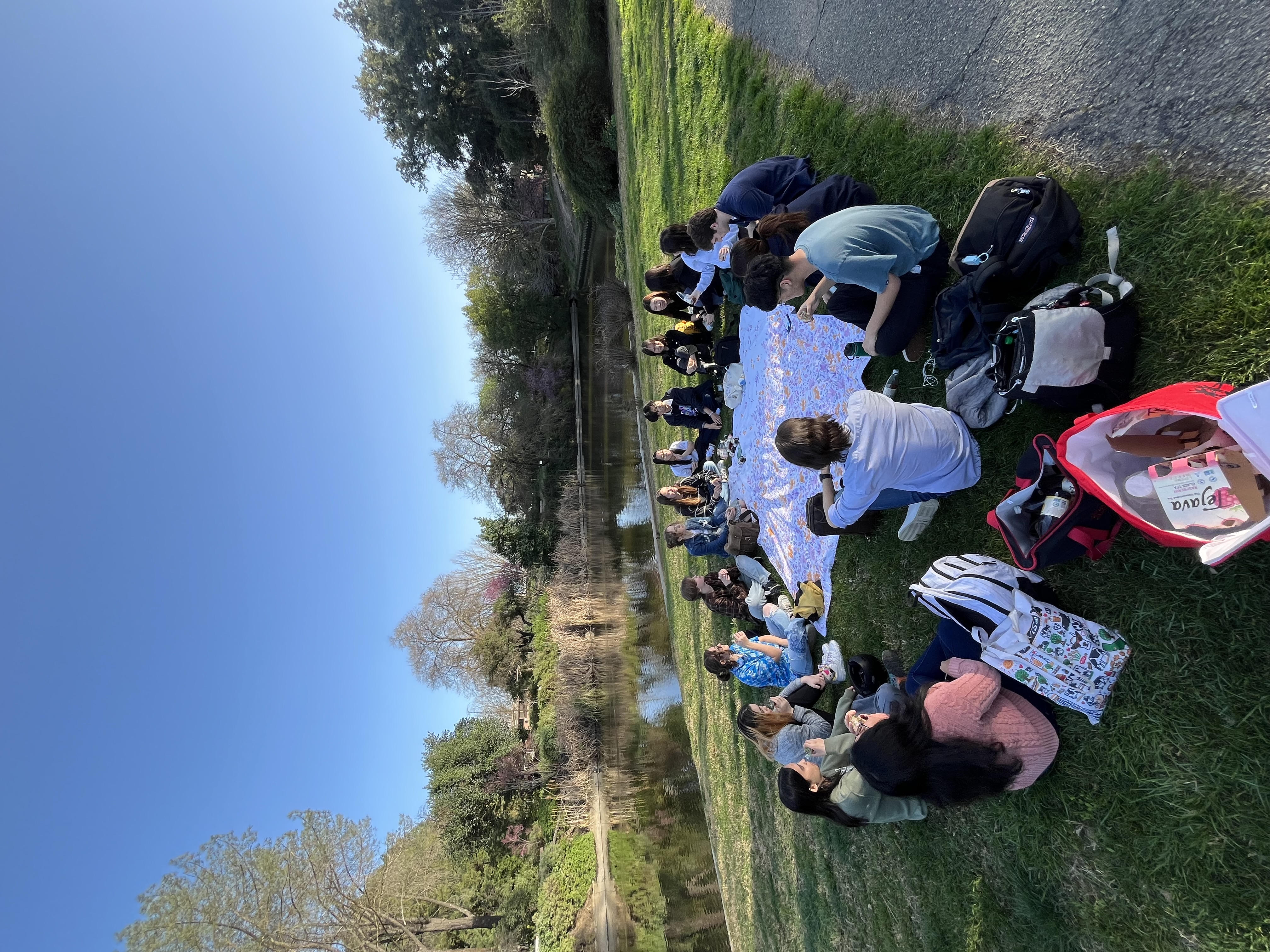 Global Tea Club at UC Davis Cover Image