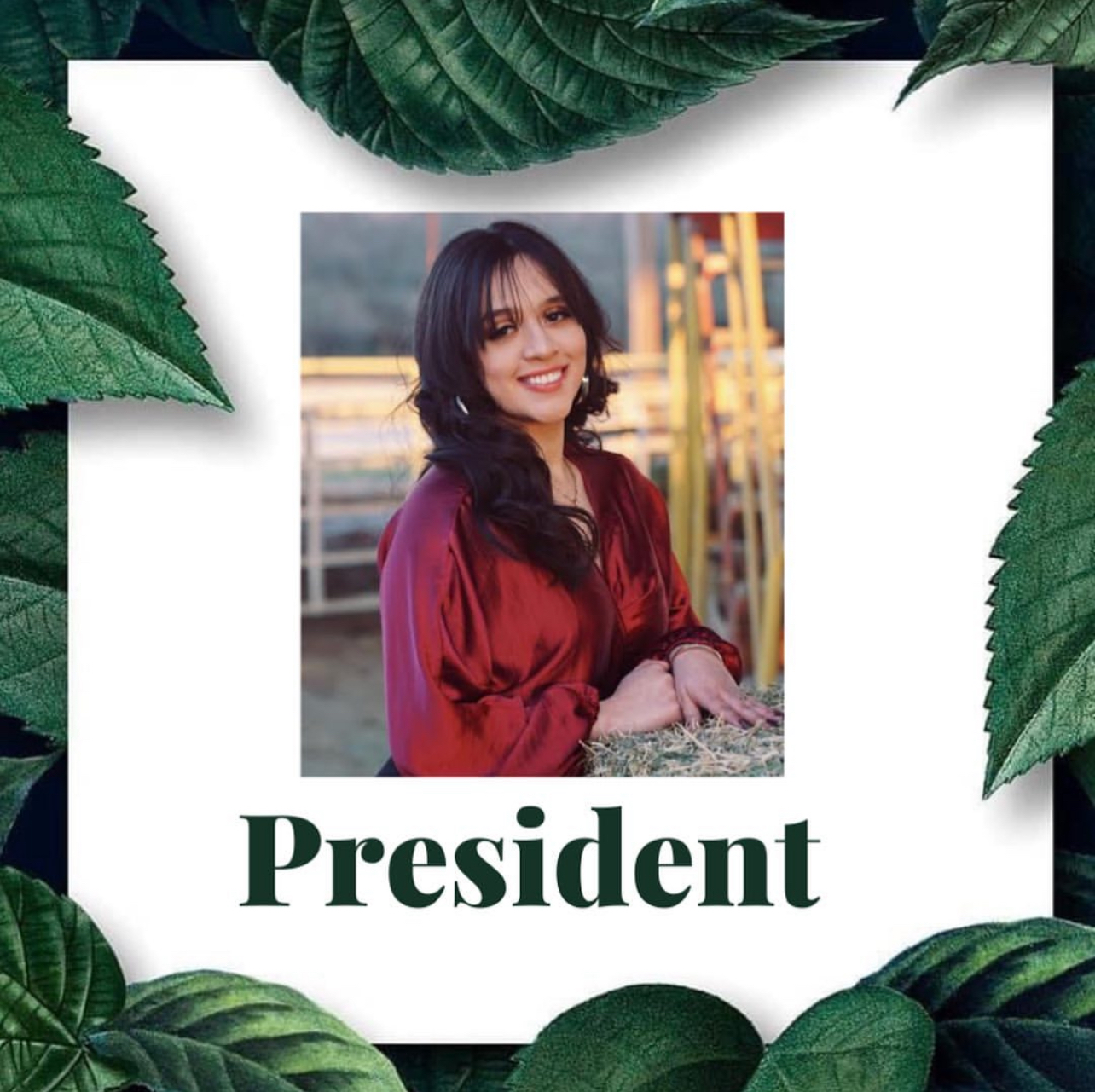 Latinos in Agriculture Cover Image