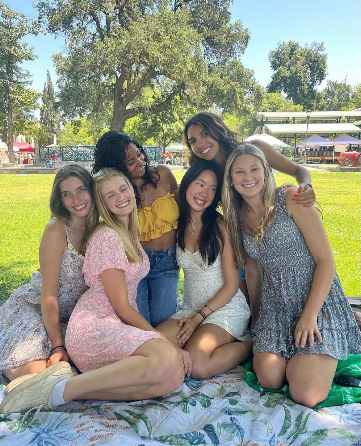 Pi Beta Phi Cover Image