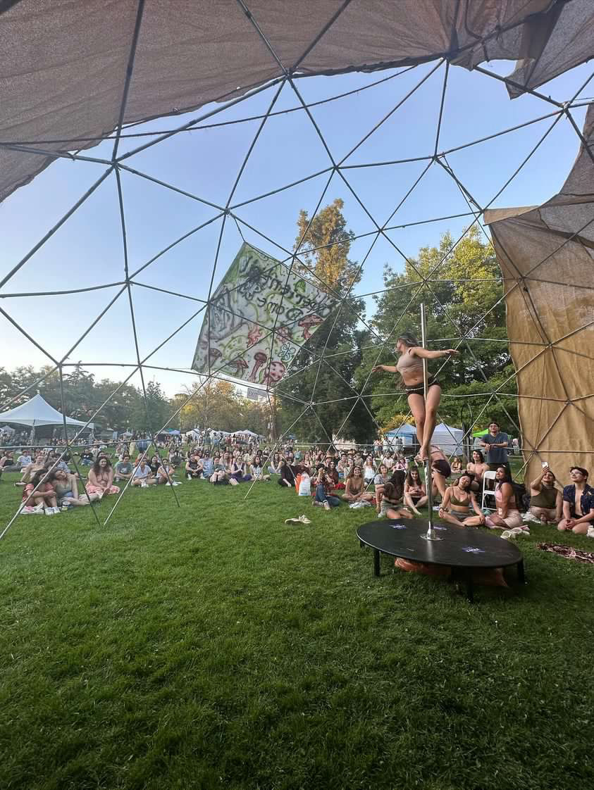 Pole Dance Club at UC Davis Gallery Image