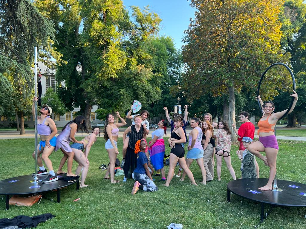 Pole Dance Club at UC Davis Gallery Image