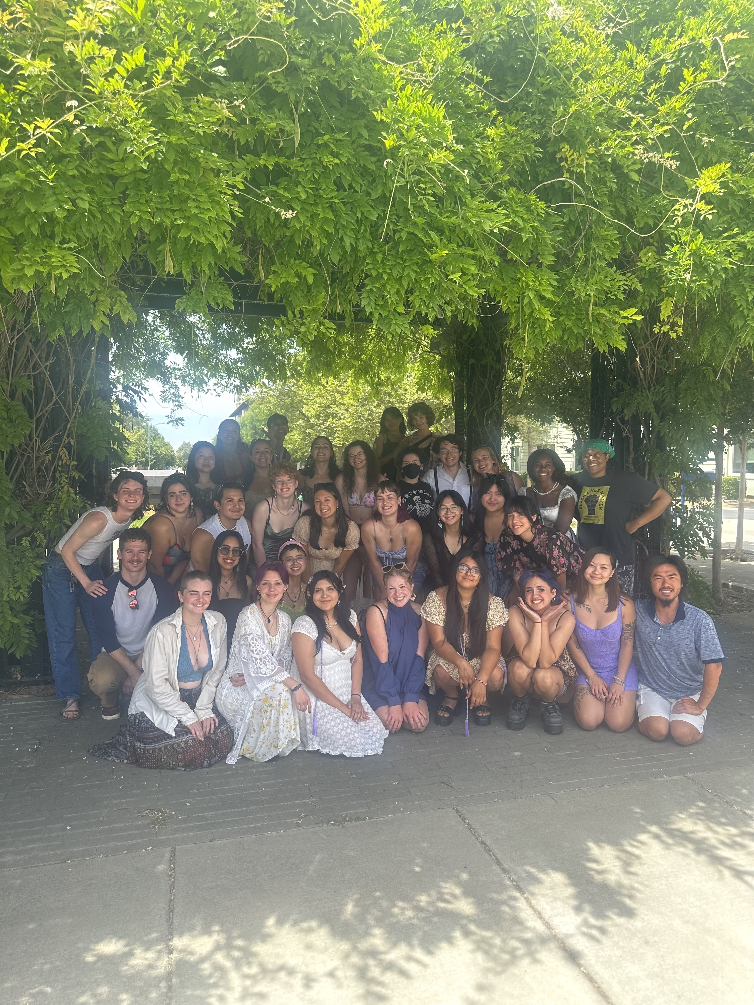 Pole Dance Club at UC Davis Cover Image