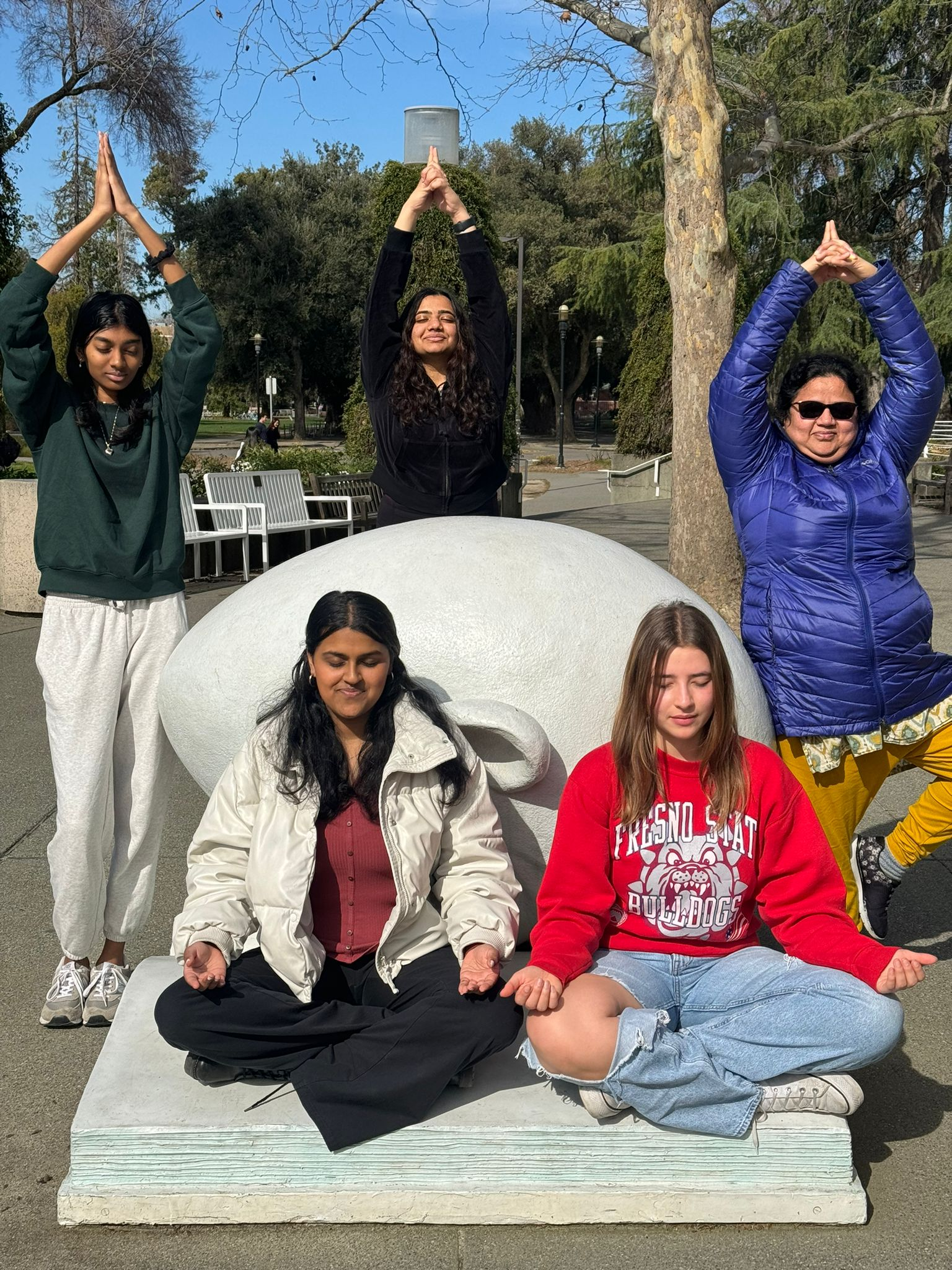 SKY at UC Davis Cover Image