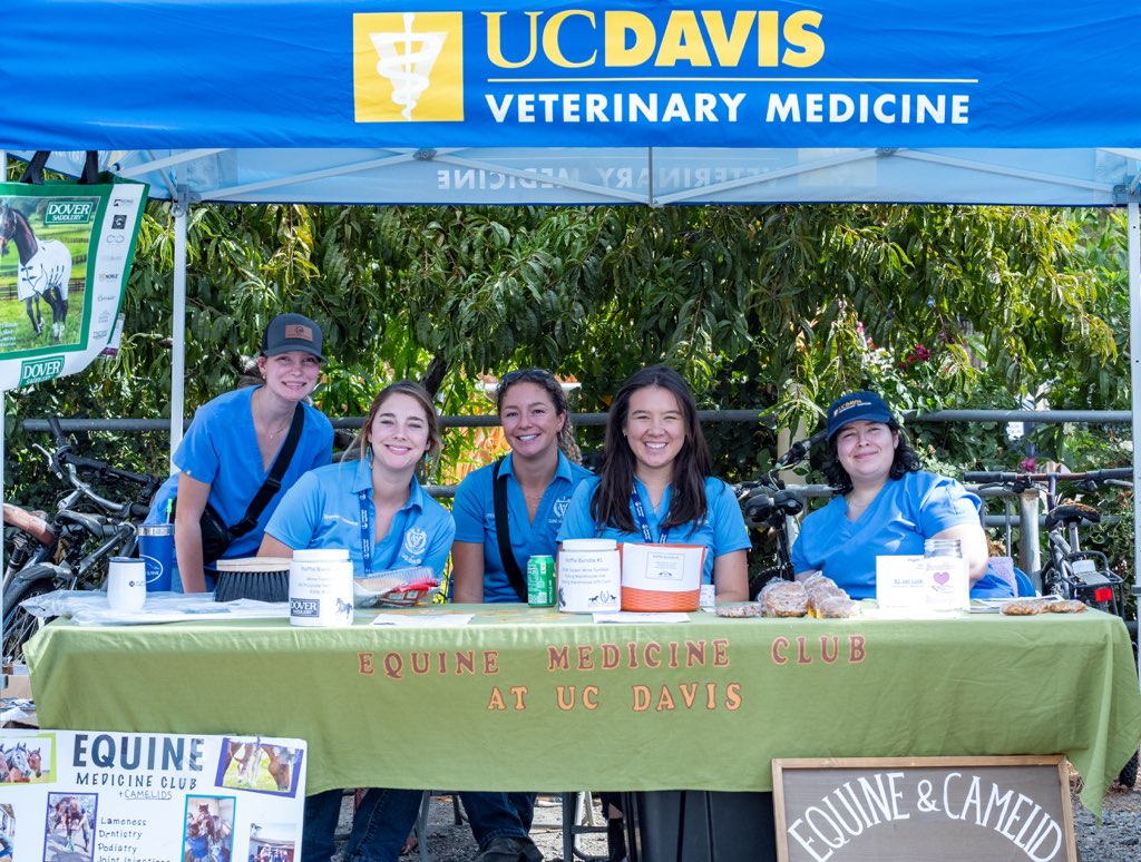 Undergraduate Equine and Camelid Medicine Club Gallery Image